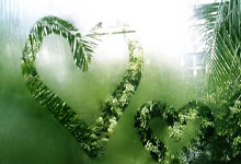 河南建业告捷，客场力克武汉卓尔，稳步向前迈进