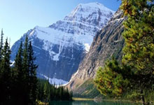 伯恩茅斯大胜对手，继续向前冲