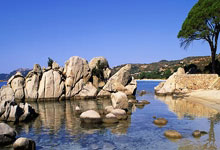 热门球队不敌劲敌，遭遇失利